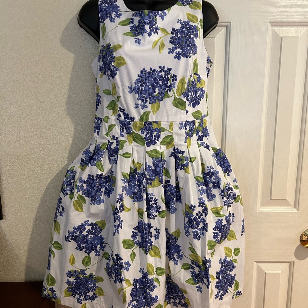 Chadwicks Floral Fit & Flare Dress